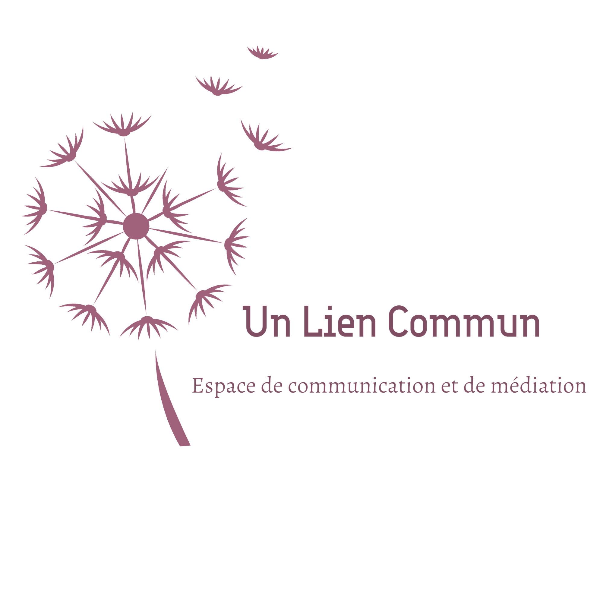 Un Lien Commun - Espace de communication et de médiation